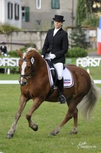 Drezura a Pavla Daumann s Holy Stripe