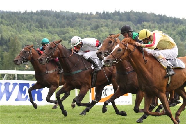 tlačenice ve 4.dostihu (vpravo Lex)