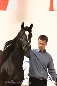 Z loňského ročníku