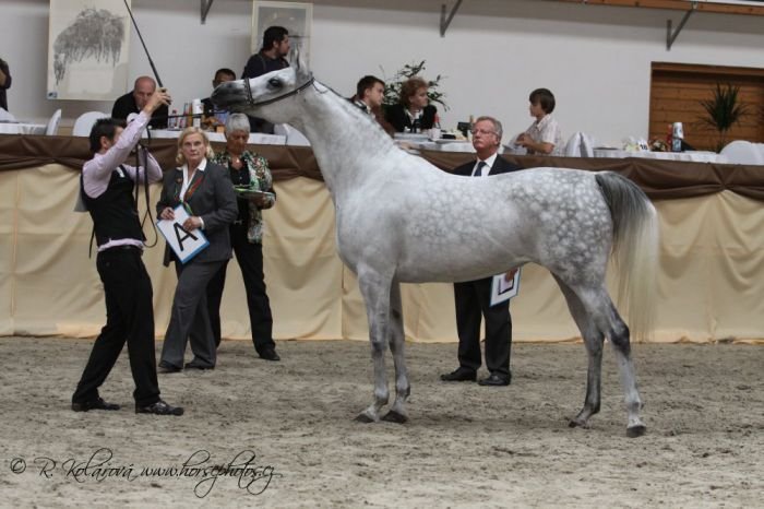 Z loňského ročníku Z loňského ročníku