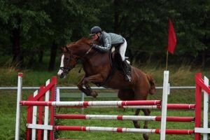 S. Kopecká - Helia vítězové parkuru L