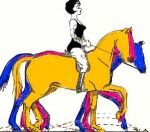 Délka kroků v různých stádiích shromáždění v klusu Délka kroků v různých stádiích shromáždění v klusu