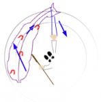 Dovnitř plec na kruhu ze země Dovnitř plec na kruhu ze země