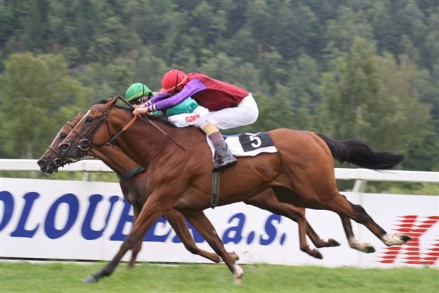 Saryarka (č.5) patří mezi největší favority Ceny Masise Saryarka (č.5) patří mezi největší favority Ceny Masise