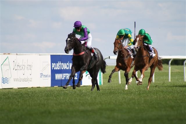 Také Wanillca po triumfu v Mostě patří v neděli k favoritům Také Wanillca po triumfu v Mostě patří v neděli k favoritům