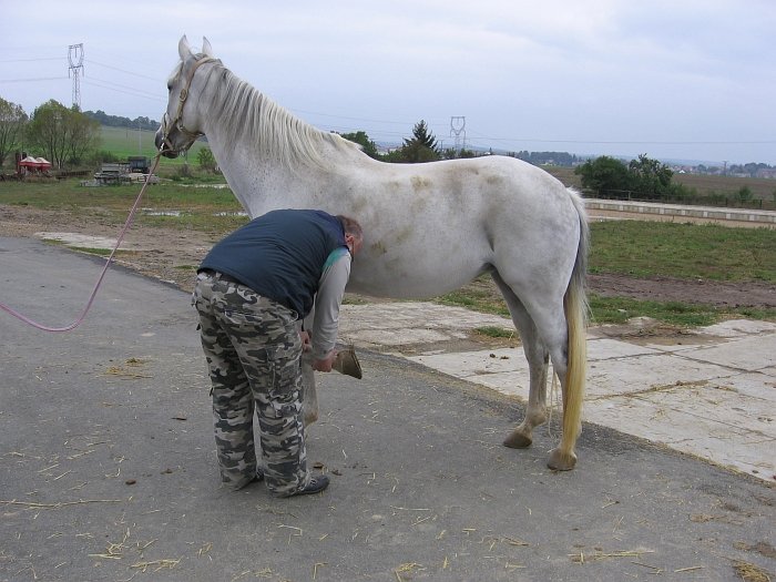 prohmatání šlachy prohmatání šlachy