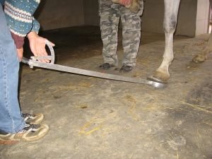 provokační zkouška