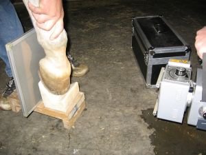 rentgenování na podotrochlózu