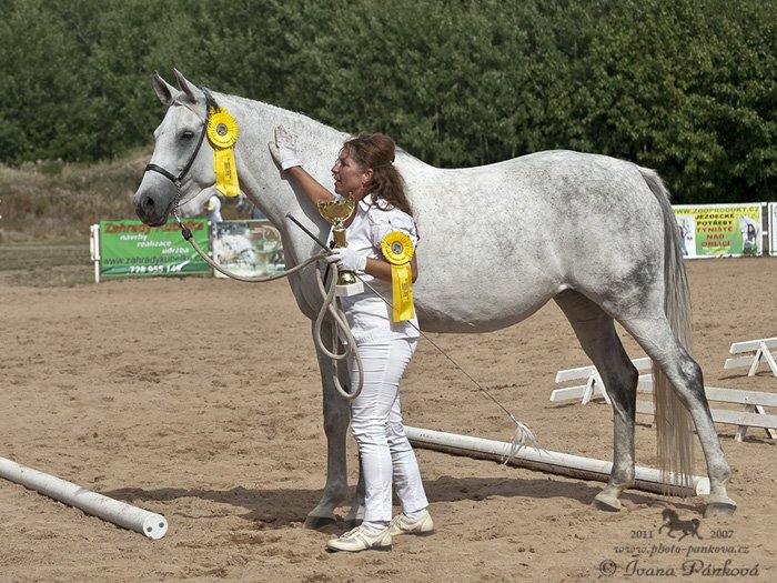 Kůň přehlídky 2011 - HAVAJ