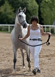 Vítěz přehlídky "Mladá klisna" 1.místo SAFÍJA