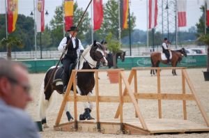 barokní pinto na překážkách working equitation