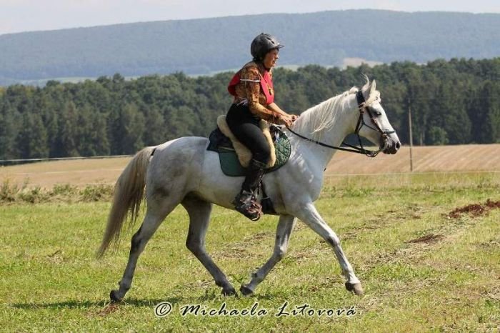 Eva Machková - Azil