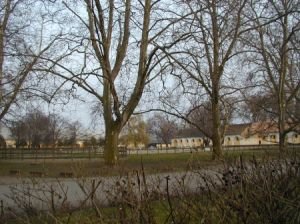 podzimní Mezohegyes