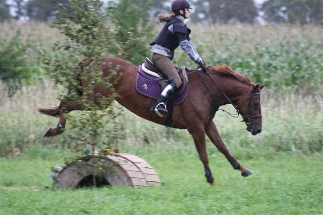 E. Švadelíková - Metaxa