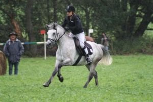 Z. Kolaříková - Safír