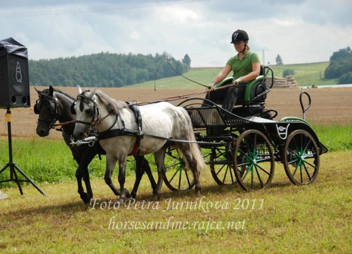 Vozatajský parkur pony Vozatajský parkur pony