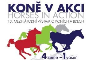 Koně v akci 2011