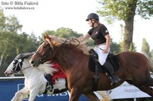 Dostih chladnokrevníků