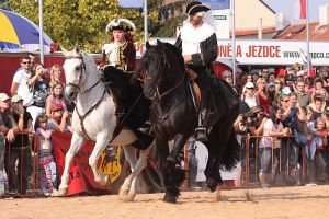 Česká barokní společnost