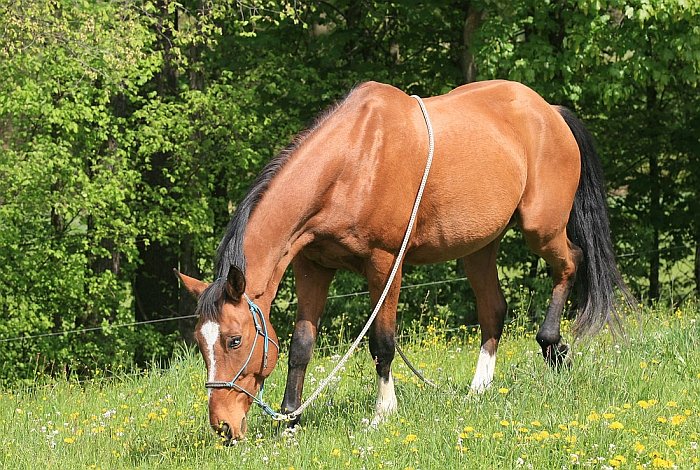 Zip začátkem května 2011 Zip začátkem května 2011