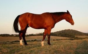 Zip koncem září 2011