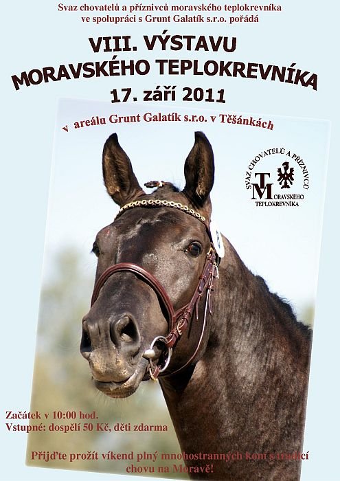 VIII. výstava moravského teplokrevníka VIII. výstava moravského teplokrevníka
