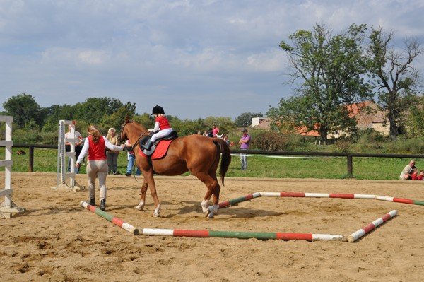 Nejmenší účastník závodů se svým sladěným týmem Nejmenší účastník závodů se svým sladěným týmem