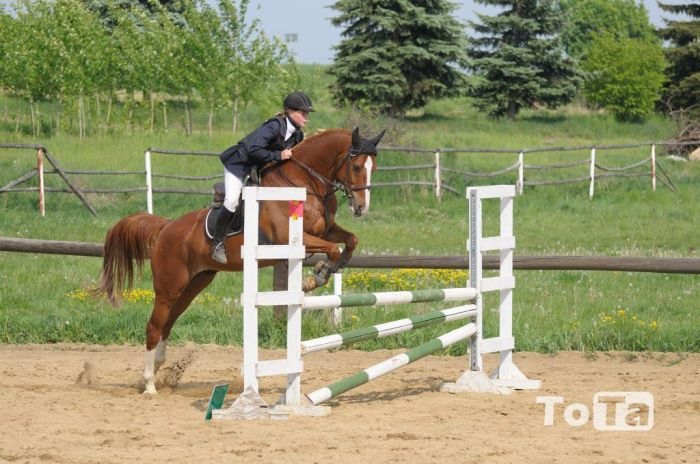 Vycházející hvězda SS Černuc Jarka Špurková v sedle Arlava Vycházející hvězda SS Černuc Jarka Špurková v sedle Arlava