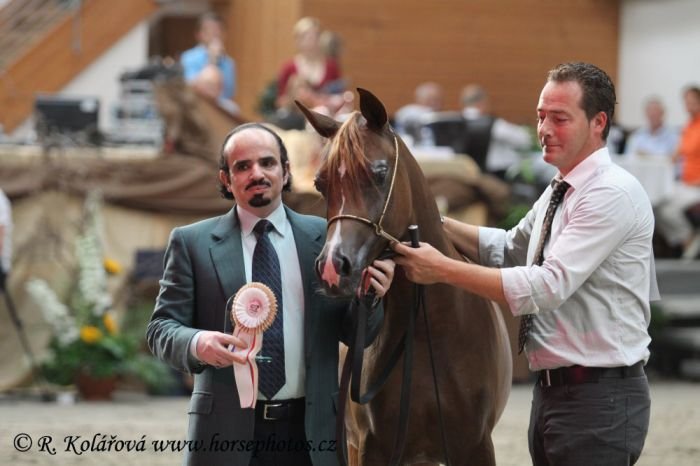 Pózování se šejkem (Maysaa Al Khalediah, stříbrná juniorská šampiónka) Pózování se šejkem (Maysaa Al Khalediah, stříbrná juniorská šampiónka)