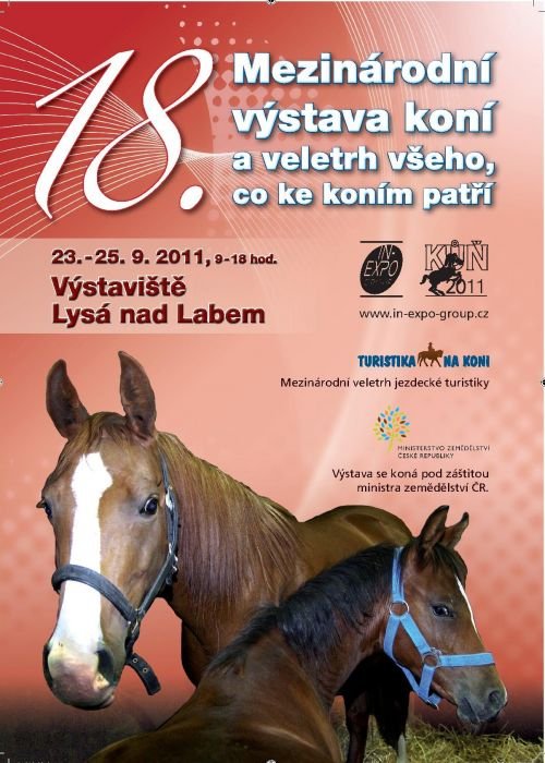 Kůň 2011