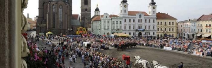 Svatováclavská přehlídka koní