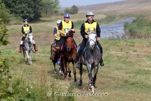 čeští reprezentanti