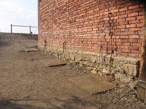 upravený výběh může sloužit celoročně