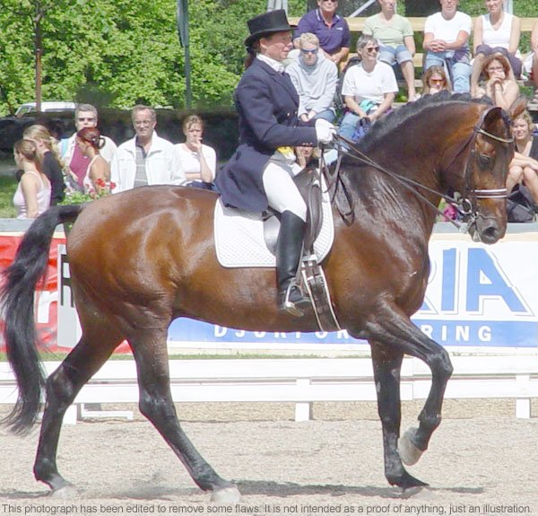 ilustrační foto ilustrační foto