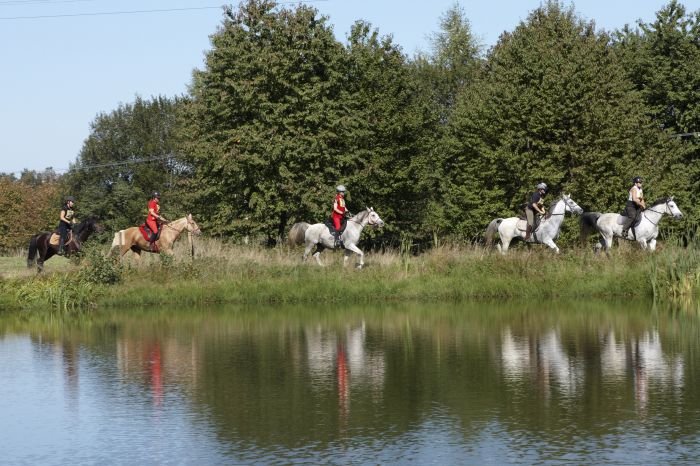 Tratě vedou krásnou krajinou... Tratě vedou krásnou krajinou...