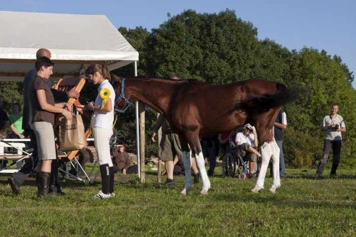 Kateřina Kyselá a Cezar Kateřina Kyselá a Cezar