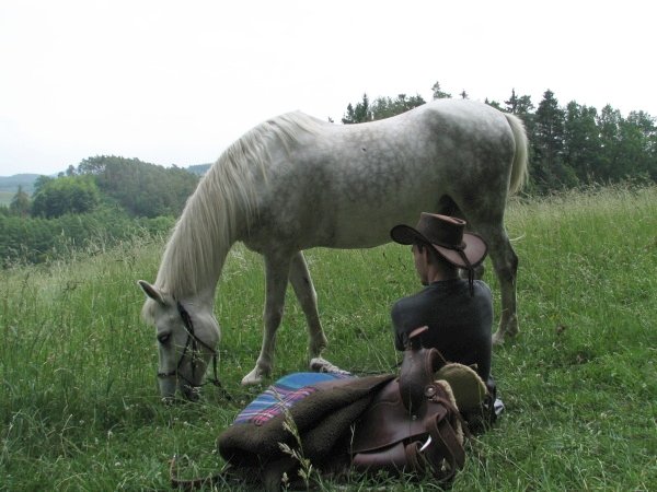 atypický hřbet koně
