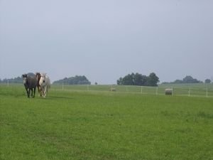 Musíte myslet i na dostatečné zásoby na zimu.