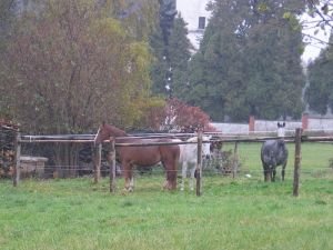 odpočinek ve studeném větrném dešti