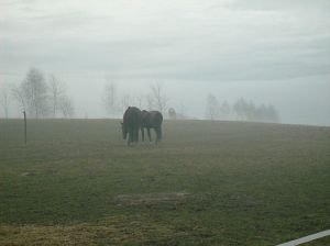 podzim na Vysočině