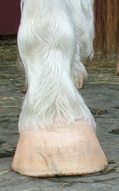 co  není na tomto snímku korektní?