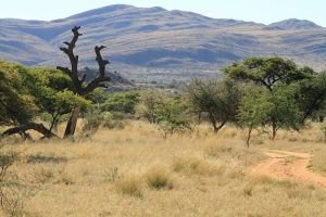 jihoafrická krajina