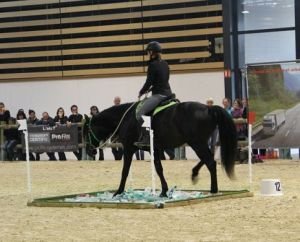 přechod přes PET lahve