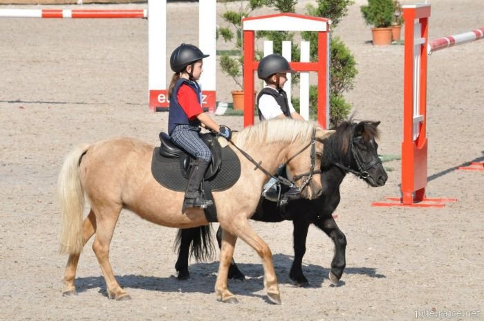 kategorizace - skoky kategorizace - skoky