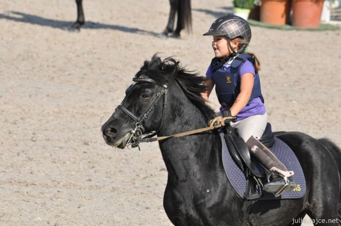 kategorizace - skoky