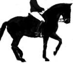 Korektní piafa s relativním vzpřímením celého předku