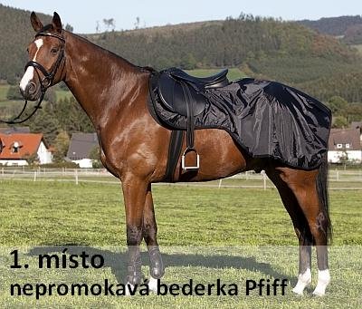 cena pro 1. místo cena pro 1. místo