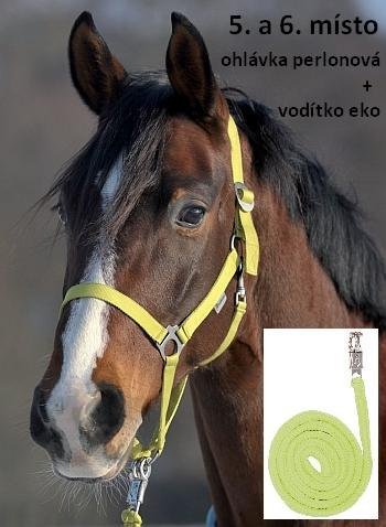 5. a 6. místo 5. a 6. místo