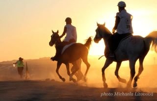 Momentka z MS vytrvalosti Momentka z MS vytrvalosti