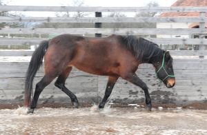 Pískový povrch po vydatných deštích